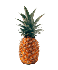 Pineapple-Organic