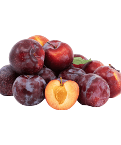 Santa-Rosa-Plum-Organic