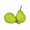 Packham's-Triumph-Pear-Organic
