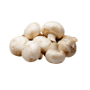 White-Mushroom-Organic