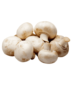 White-Mushroom-Organic