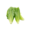 Cos-Lettuce-Organic