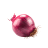 Red-Onion-Organic