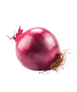 Red-Onion-Organic