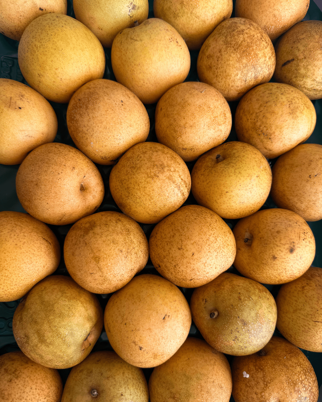 Why Choose Organic? Understanding the “Why” Behind the Label