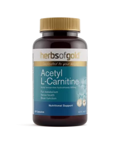 Acetyl L-Carnitine 60capsules Herbs Of Gold