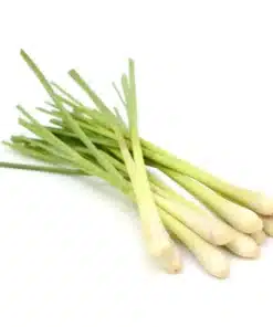 Fresh Herbs Lemongrass Organic Bunch