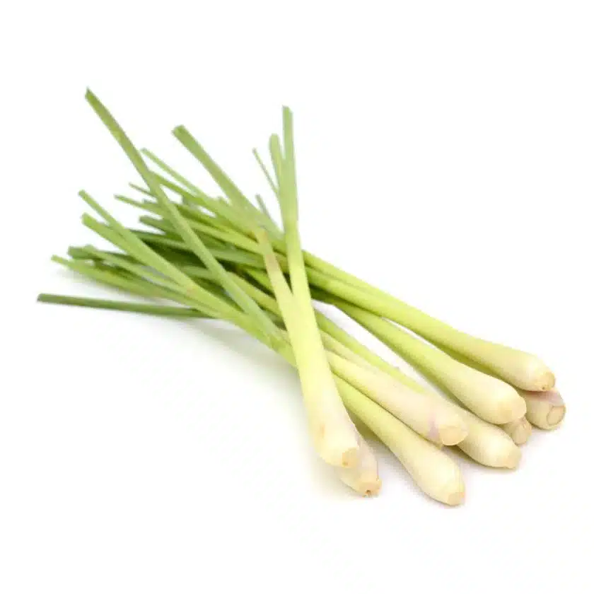 Fresh Herbs Lemongrass Organic Bunch
