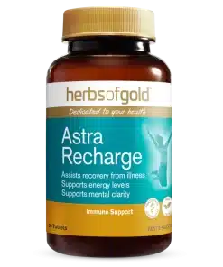 Astra Recharge 30T HOG