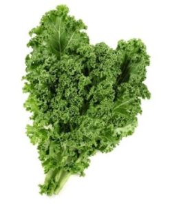 Kale Curly Organic Bunch