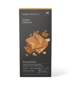 Peanut Brittle Thins 100g Pana Organic Artisan