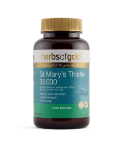 St Marys Thistle 35 000 60T Herbs Of Gold