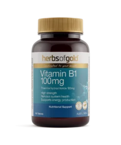 Vitamin B1 100mg 100T HOG