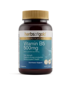 Vitamin B5 500mg 60caps Herbs of Gold