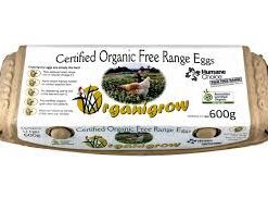 Organic Free Range Eggs 600g Organigrow