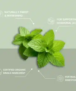 Spearmint Tea 25bags Planet Organic