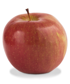 Apple Fuji Organic