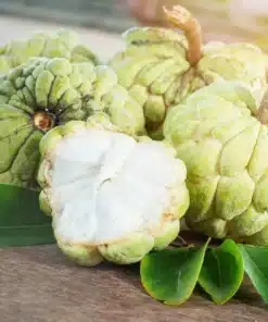 Exotic Custard Apple Organic Each