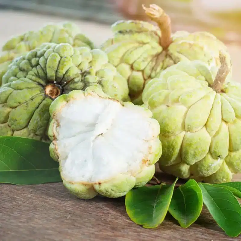 Exotic Custard Apple Organic Each